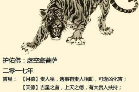 2022虎年命运分析：运势、事业与情感全面解析