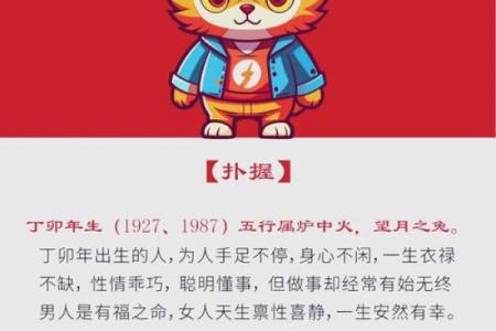 1982年命主的命运与个性解析：解密这一年出生者的生活特点