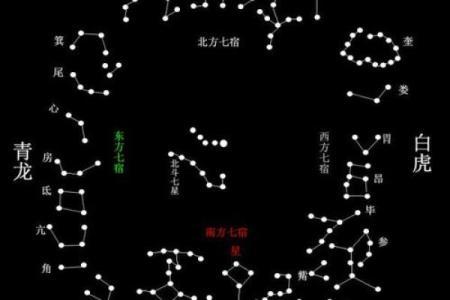 探索28星宿坐命的奥秘：揭示你的命运玄机