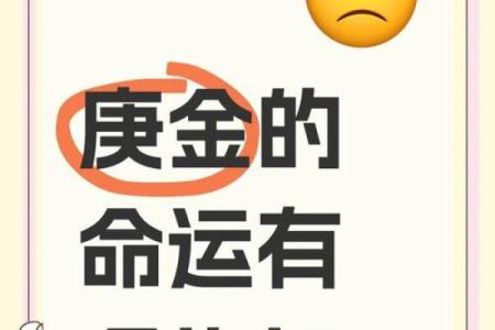 2023年的命运解析：走向新的辉煌之路