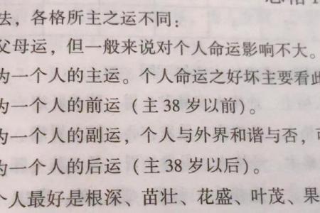 命理：探寻命运背后的奥秘与智慧