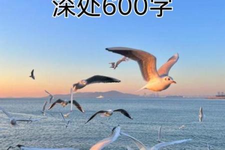 1974年5月的春天：记忆中的那个美好时光