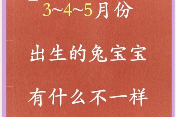 2023年兔年出生的孩子命运如何？细说兔宝宝的命理特征与人生方向
