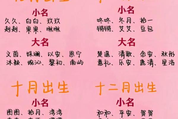 2023年兔年出生的孩子命运如何？细说兔宝宝的命理特征与人生方向