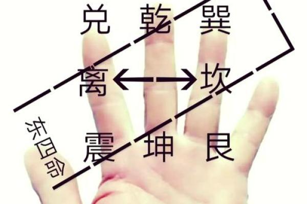 探秘命理：东四命与西四命的哲学与实践