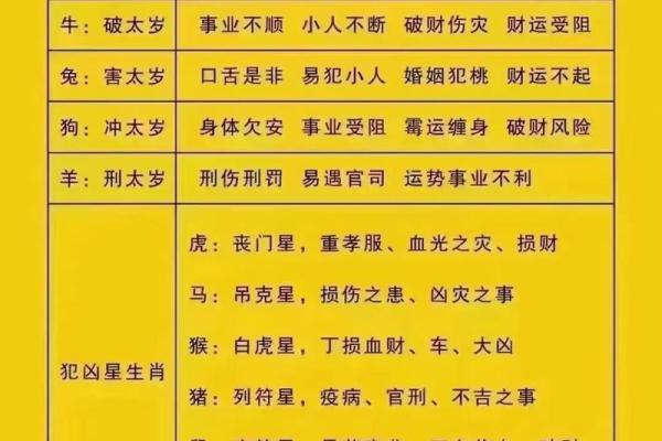 2023年，哪些命格最容易发财？揭示财富之路的秘密！