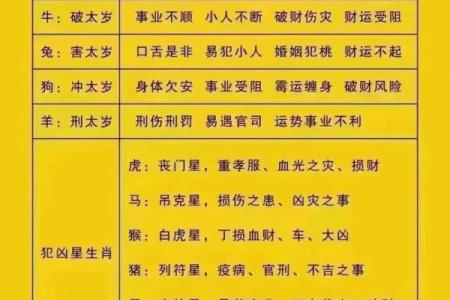 2023年，哪些命格最容易发财？揭示财富之路的秘密！