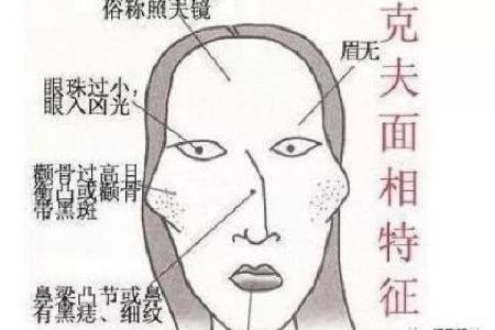 探索1995年7月26日出生的人的命运与个性特征