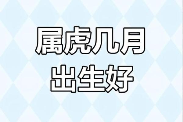 2022年数虎：揭秘虎年出生人的命理与性格特征