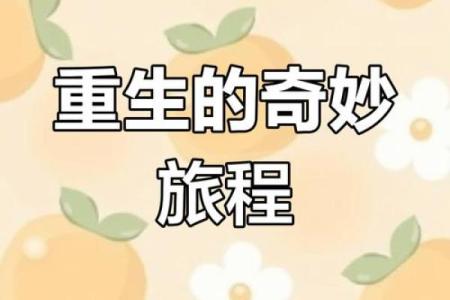 1997年出生的孩子：命运与成长的奇妙旅程