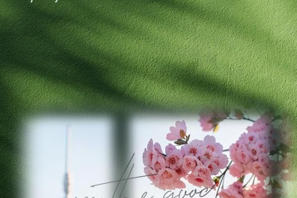 2000年7月25日的命运启示：人生的选择与未来的方向