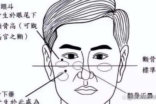 揭秘：骨相特征与女性财运的秘密