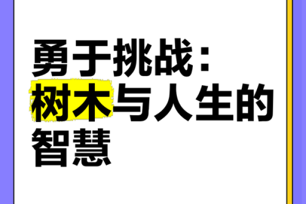 探索木命人的职业选择：适合木命的行业与发展机会