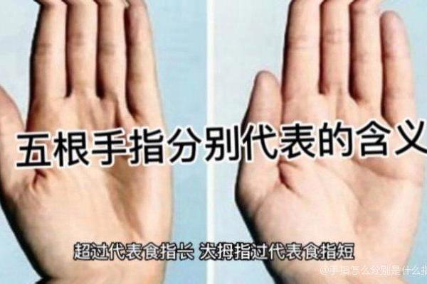 只有几个手指是什么命？解密手指数量与命运的关系！