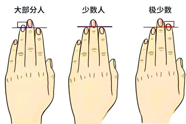 探秘农历0525出生的人，揭示你的命运与性格！