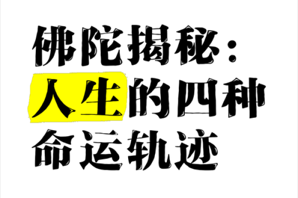 1995年：寻找那一年命运的轨迹与人生的启示