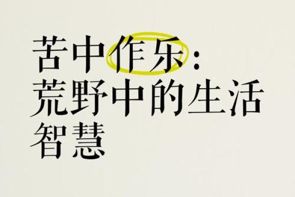 1965年出生的你，命运的独特之旅与生活的智慧