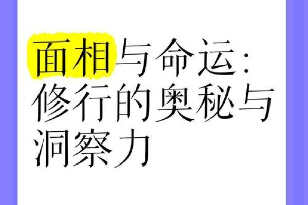 1954年生人命格解析：探索命运的奥秘与人生之路