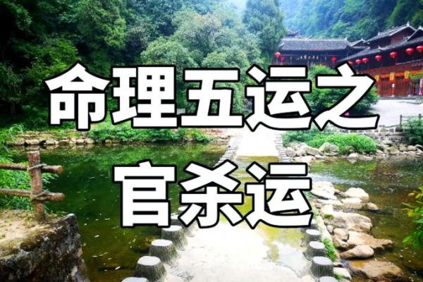 一九九八年出生的女性命理解析：智慧与机遇并存的一生
