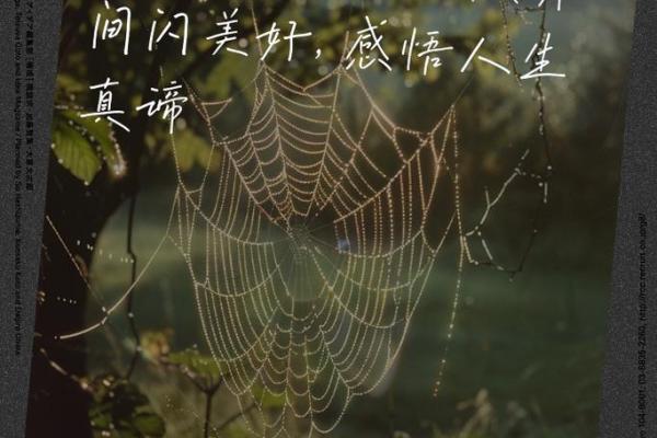 命绝的意义与人生的启示：如何在困境中找到生命的真谛