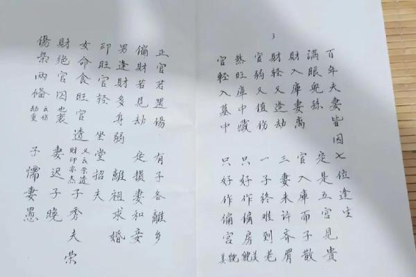 1991年出生的人命运如何？探索命理与人生的奥秘