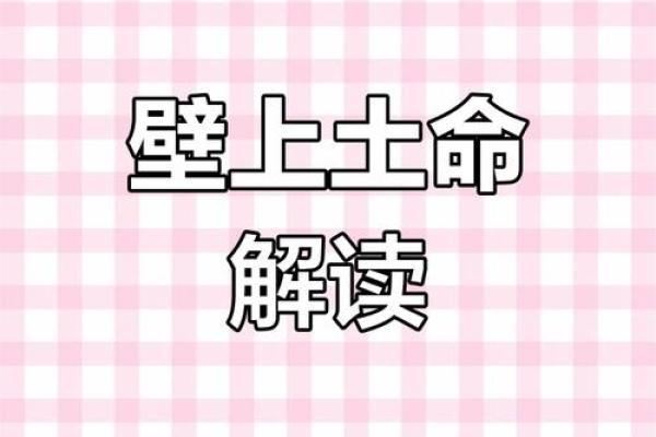 壁上土命与适配颜色的完美搭配指南