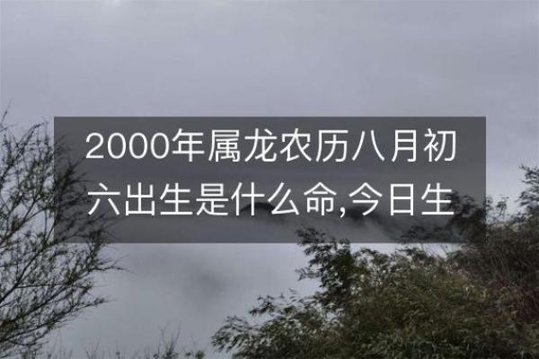 2000年属龙的命运解析与人生启示