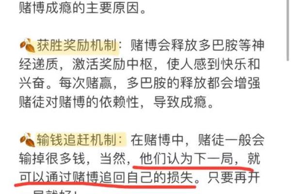 赌钱不输命：探寻赌博背后的心理与文化