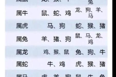 2014年生肖运势分析：命缺什么与如何化解的全面解读