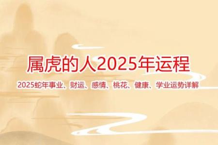 2023年属虎人的命运：机遇与挑战并存的精彩人生