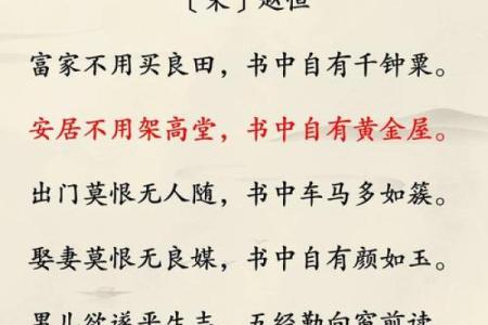 1974年的生肖与命运：探索竹鼠年给我们带来的财富与智慧
