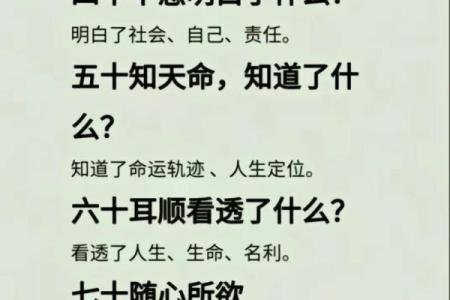 1995年：寻找那一年命运的轨迹与人生的启示