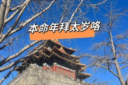 2000年属龙的命运解析与人生启示