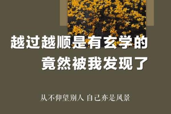 得到什么就要失去什么的命运哲学探讨