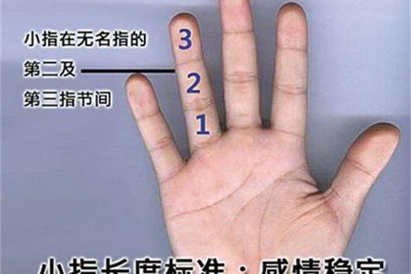 揭秘小拇指的秘密：解读你的命运与性格