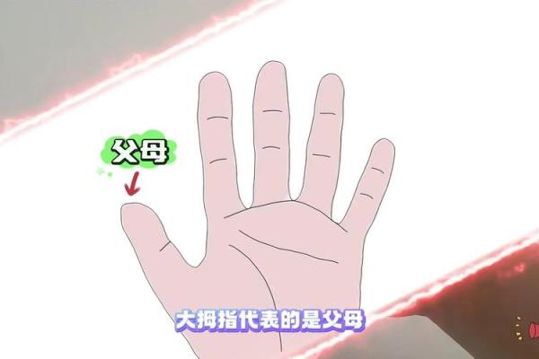 揭秘小拇指的秘密：解读你的命运与性格