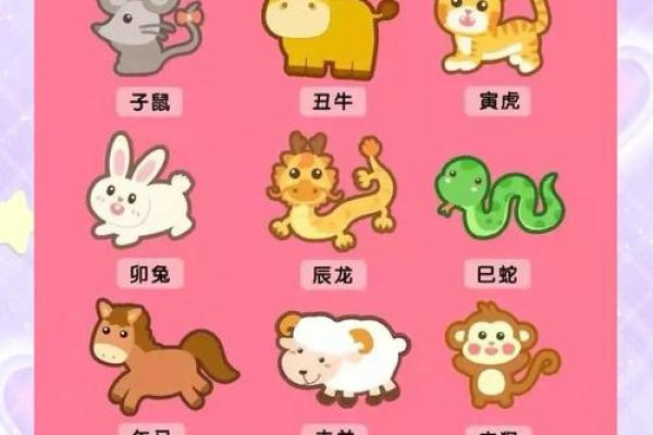 八大生肖命理揭秘：了解每种属相的命运与性格魅力