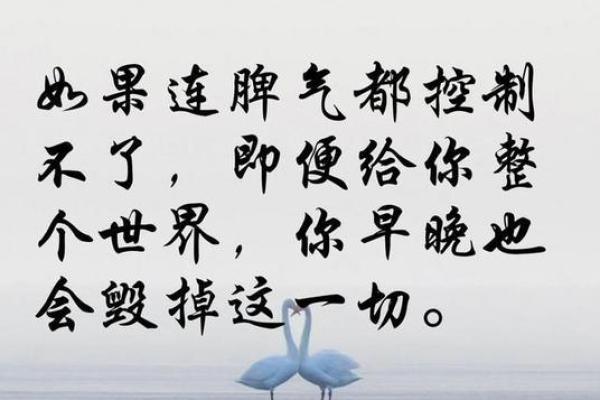 2023年狗年生人的命运与性格解析：如何更好地把握人生机遇