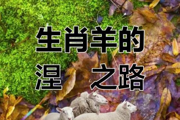 1991年出生的羊：金命的神秘与运势探讨