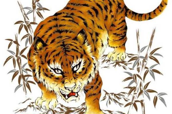 2022年属什么生肖？揭示属虎之人的命理与人生智慧