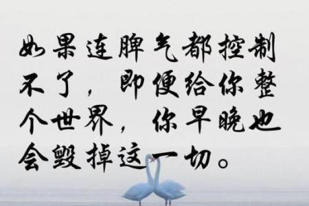 2023年狗年生人的命运与性格解析：如何更好地把握人生机遇