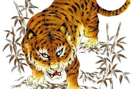 2022年属什么生肖？揭示属虎之人的命理与人生智慧
