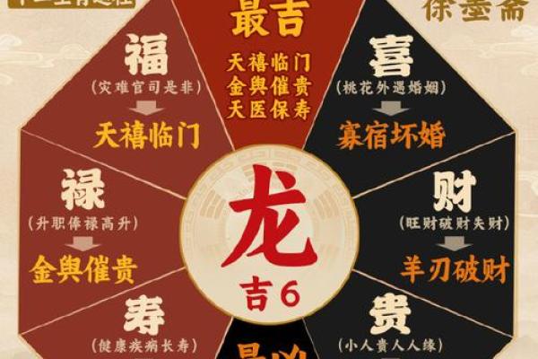 2023年属龙人的命运解析：顺风顺水还是波澜起伏？