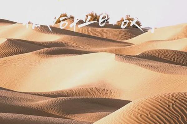 1982属狗女人：命运与个性的探索之旅