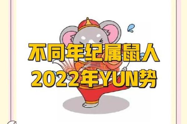 2022年属鼠人命理解析：特点、运势与发展潜力