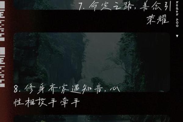 2017年出生的宝宝命理解析：他们注定与众不同的未来