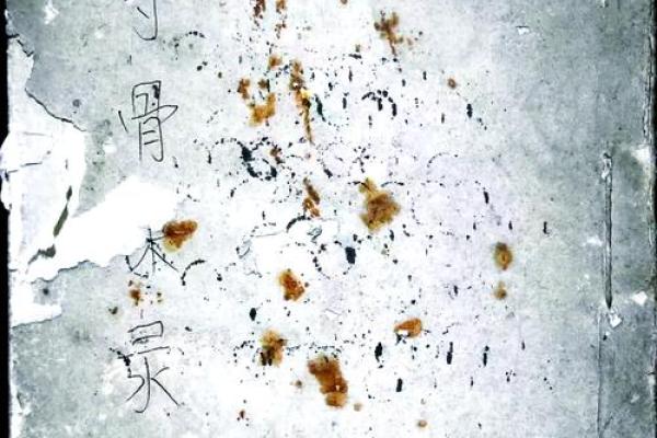 骨重328是什么命？探秘这一命理的奥秘与启示