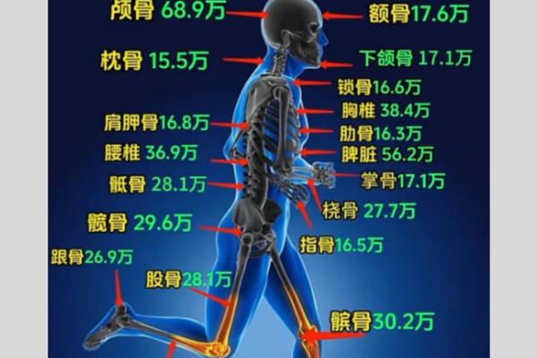 骨重328是什么命？探秘这一命理的奥秘与启示
