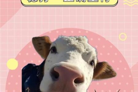 命里犯贱生肖揭秘：为何这些生肖总是爱自我折磨？