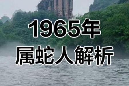 1965年属蛇人的性格与命运解析，揭秘这个年份的蛇的个性与运势！